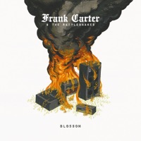 Frank Carter & The Rattlesnakes - kitty sucker
